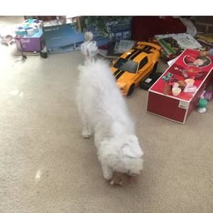 Meet your Posher, Marissa